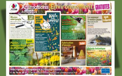 CCSB : le programme des animations environnement d&rsquo;avril 🌱