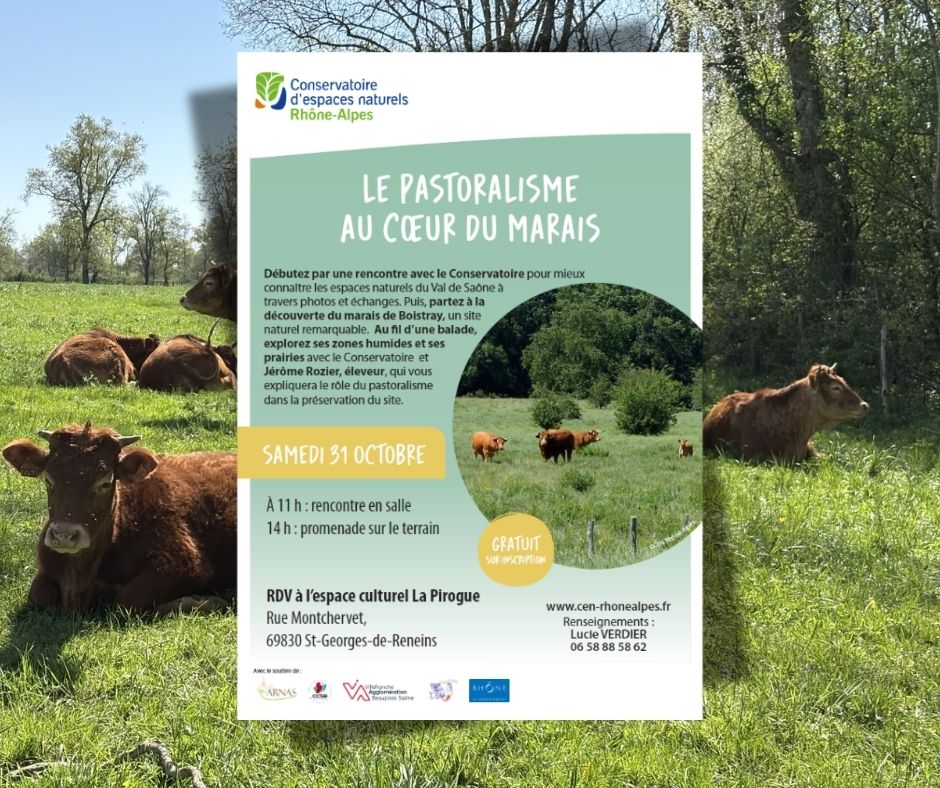 En savoir plus sur Journée du pastoralisme – Le pastoralisme au cœur du marais